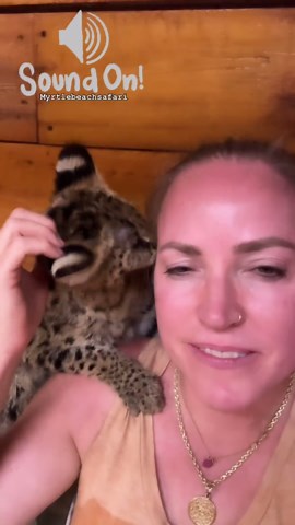 Moksha Bybee on Instagram: "Come meet my #friend #serval #myrtlebeach #myrtlebeachsafari"
