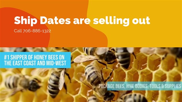 1K views · 959 reactions | Need honey bees? We have the HONEY BEES!...