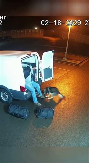 Dog Attacks Man Unloading Van in Parking Lot
