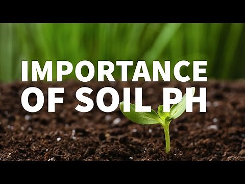 IMPORTANCE OF SOIL PH