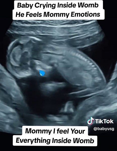 Baby Crying Inside Womb: Mommy's Emotions Felt