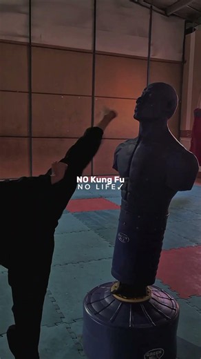اجرای تکنینک کونگ فو #kungfu #چالش #رزمی #کونگ_فو #آموزش #martialarts #wingchun