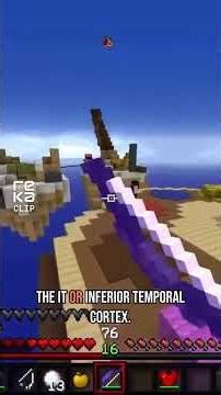 I made a brain in Minecraft p2