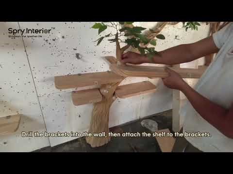 Assembly Tree Bookshelf Guide | Tree Bookshelf for Home Decor | Best Tree Bookshelf 2025