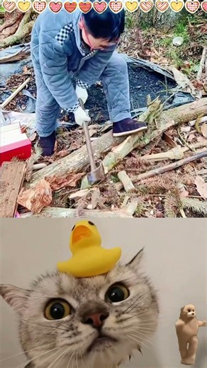 #funny #fyp #foryou #shorts