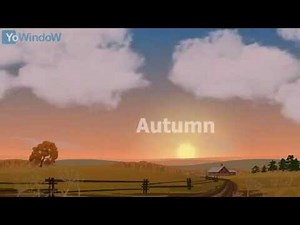 Weather window