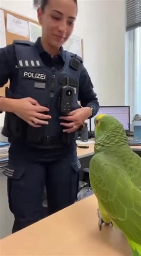 Talking Parrots: Hilarious Moments That Make You Laugh