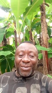 Vision Floue , Visibilité Faible , Miopie : Voici La Solution À L'aide D'une Plante Naturelle. Regardez Cette Vidéo Jusqu'à Sa Fin Afin De Bénéficier Des Bienfaits Des Produits Naturels. Contact : 2348133751423 Dr Hilaire Nasser F | Traitement aux plantes naturelles