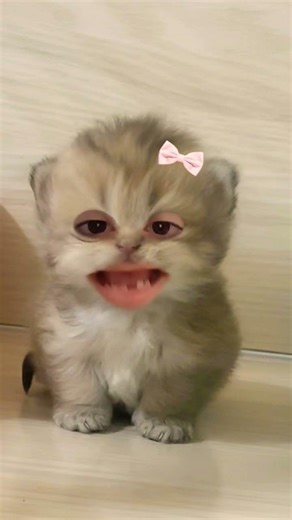 ١٢ نيسان، ٢٠٢٦