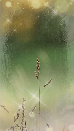 旅人よ 加山雄三