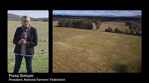 Non-tariff measures - DAFF