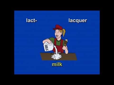 Dean Vaughn Medical Terminology Lesson 5