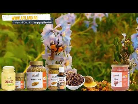Apiland Romania
