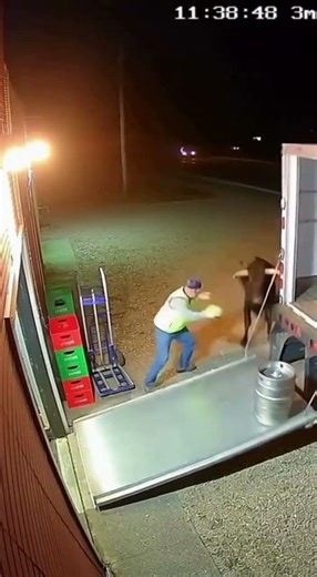 Bull Charges Delivery Driver at Rural Bar Entrance #cctv #bull #realfootage #securitycam