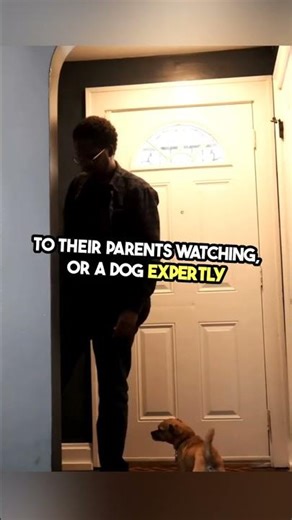 🤣 Caught in 4K: The Funniest Fails of the Week!