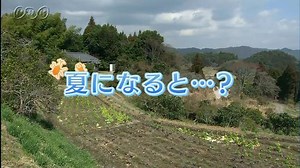 夏になると…？ | ふしぎがいっぱい （4年） | NHK for School