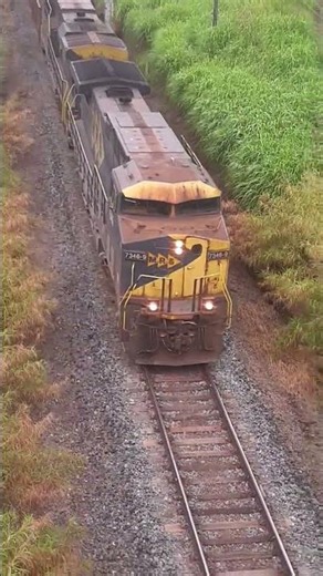 #2026short #treem #seguidores #viral #juizdefora