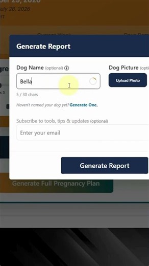 Dog Pregnancy Calculator: Week by Week Pregnancy Report #dogpregnancy #doglife #doglove #dogs