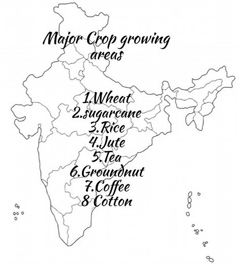 Class10 Geography|Chp4 Agriculture|Map Work|Major Areas for Crops|Social Science|#class10geography