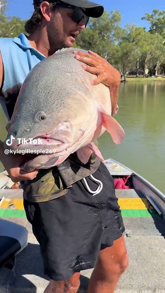 Murray Cod Fishing Tips for December 1