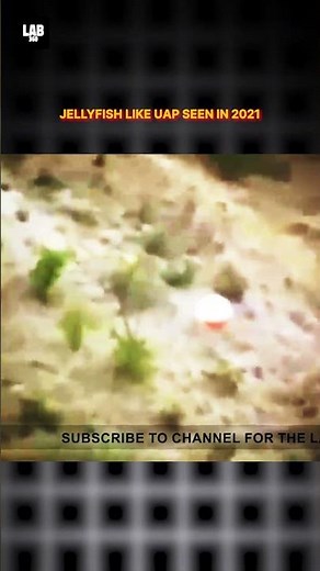 Jellyfish-Like UAP Spotted in 2021 | Strange UFO Caught on Camera #shorts #lab360 #alien