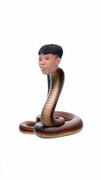 DIGUN MEME AUDISI IDOL - EPISODE 11