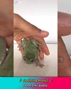 123K views · 200 reactions | You'll know if you are on straight or alt tiktok after this! | REACT | Facebook