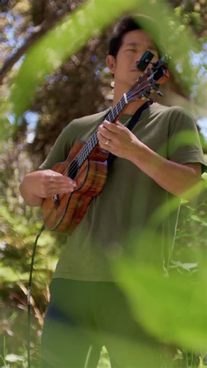 “Friends of Hakalau” is an Abstract Collab with nature. During a visit to the Hakalau Forest National Wildlife Refuge, Jake collaborated with abstract painter, Kristie Fujiyama Kosmides and cinematographers, Tracey Niimi, Andrew Richard Hara and Joey Trisolini to create a stunning 50” x 42” piece with an accompanying short film — all inspired by the magical Hakalau Forest National Wildlife Refuge — and it will be auctioned off at the Friends of Hakalau Forest 40th Anniversary Gala this evening, 