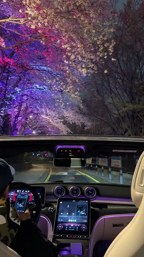 동인천 자유공원 벚꽃 드라이브