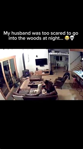 Ale & David | He really expected me to go out there 😭 | Instagram