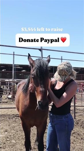 Please Donate ❤️ #horse #help #equestrian #rescuehorse