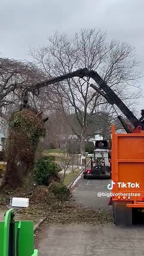 Best Tree Service in Long Island for Freightliner Trucks