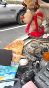 This O2 sensor adapter can prevent common car issues and save you hundreds in repairs#driving #carknowledge shop #car #carknowledge #auto | Vermijl Car Detail