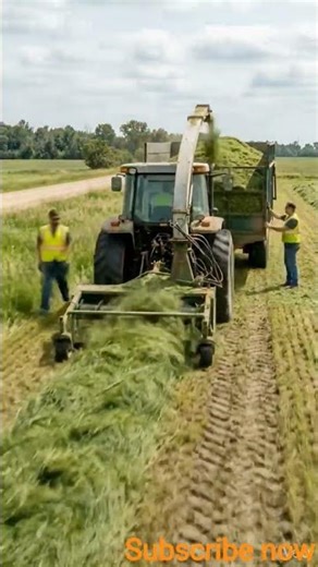 tracktor make farming #tracktor #farming #tracktor_video