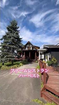 オシャレで大人気のお店‼︎ ファームレストランハーベスト😊💕