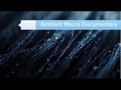 Microscopic Fibers Up Close | Invisible Threads in Motion