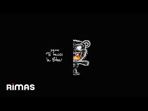 Sech - 5AM - TE HACES LA BOBA (Visualizer) | ESA NOCHE TERMINÓ DE DÍA
