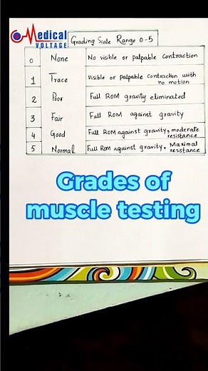 Are You Using Muscle Testing Grades Correctly? | by dr nida ilahi