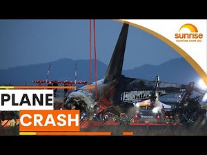 Bird strike suspected in South Korea flight disaster | Sunrise