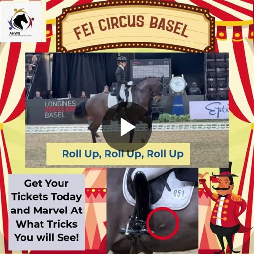 The circus always knew how to sell itself. Posters promised wonder, orchestral music swelled, a ringmaster’s voice assured us that what we were about to witness was “tradition,” “art,” and… | Alliance For Horse Welfare In Sport