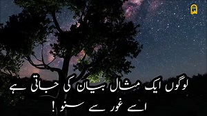 620K views · 47K reactions | Quran  | Quran Translation Short Clip | Facebook