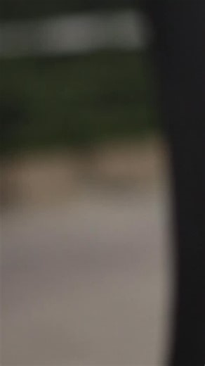 💚🏑 Nuestras jugadoras de hockey cada dia perfeccionan la técnica y siguen creciendo en el deporte. Con esfuerzo, pasión y dedicación, seguimos construyendo el futuro del hockey en Alfiles 🙌 👉 Porque en equipo se aprende más y mejor. #AlfilesHockey #Hockey #EntrenandoJuntos | Sporting Club Alfiles