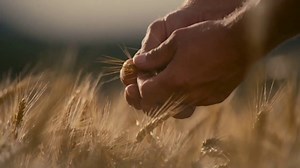 Maker's Mark TV Spot, 'The Mark Of The Maker' Song by Moon Taxi