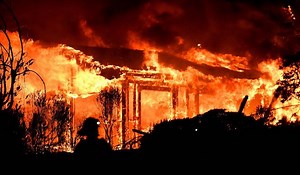 Standard #43: Burning in the Bertin Gambit