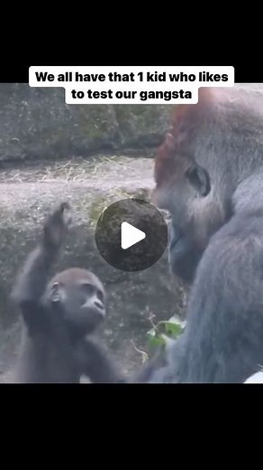 The Izzy Family | Keep playing with ME imma show you 🤣 #wearetheizzys #problemchild #girldad #parenting #relatable | Instagram