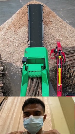 Powerful Wood Chipper | Tree Shredded in Seconds