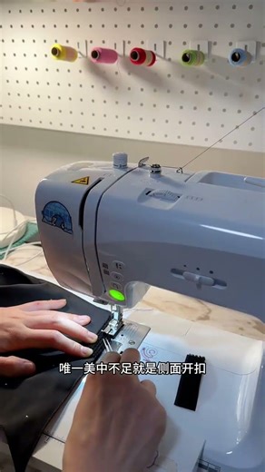 Is This Dog a Fashion Star? - Stylish Outfits for Your Pup