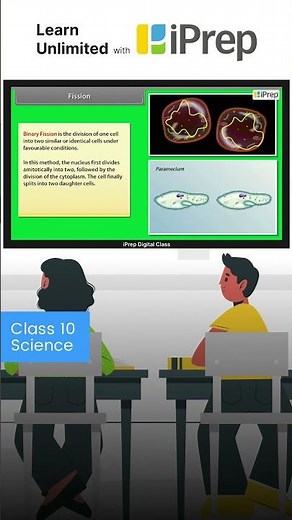 Binary Fission | How Do Organisms Reproduce? | Science | Class 10 | iPrep #iprep #education #learn
