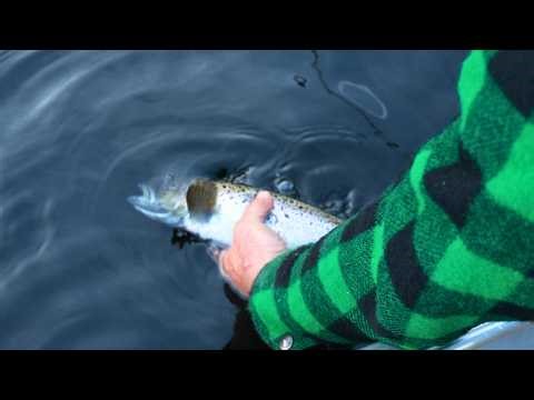 Spring Fishing Remote Maine Lakes for Trout and Salmon | ICE OUT
