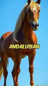 HORSES | PONIES | EQUINES | The Andalusian — The Horse of Kings Looking for a horse with the soul of a warrior and the grace of a dancer? Let us introduce you to the... | Instagram